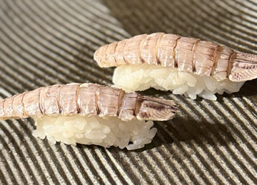 寿司 SUSHI | 新鮮活魚すし じねん